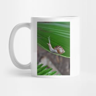 Snail Mug